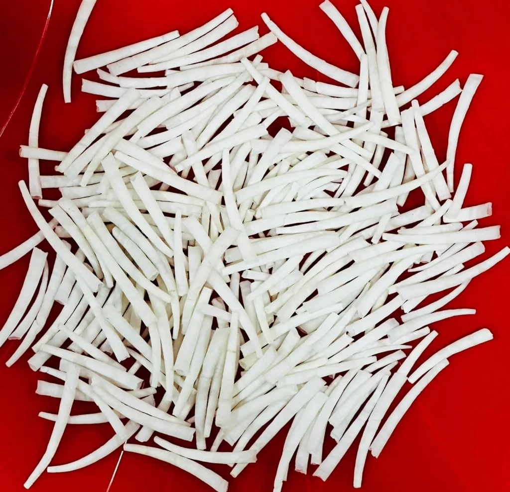 dentalium shell product 1