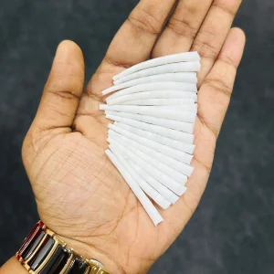 Dentalium Shells 1.75 – 2inches