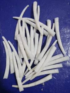 dentalium shells pic 2