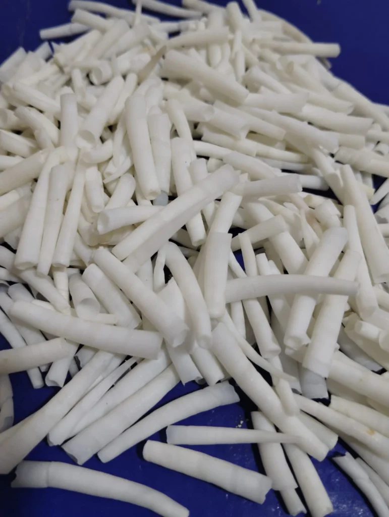 dentalium shells pic 3