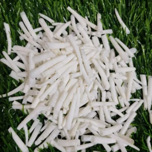 Dentalium Shells 1 – 1.5 inches