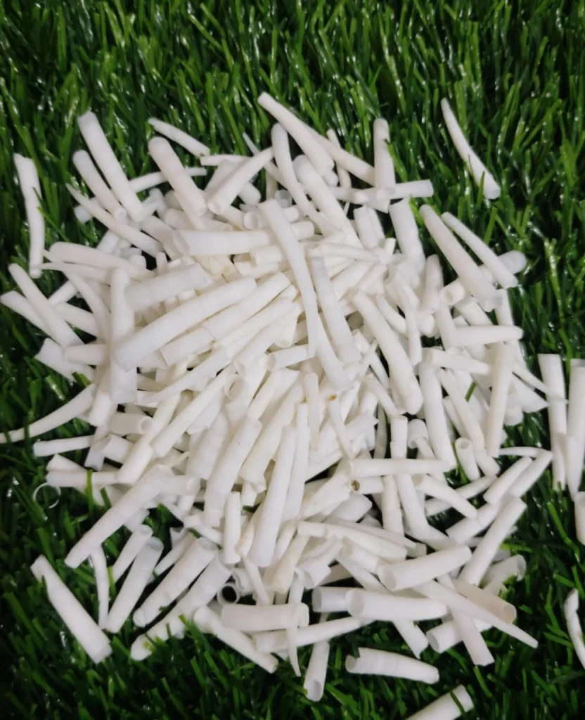 dentalium shells pic 4