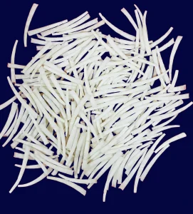 Natural dentalium tusk shells for jewelry making, crafts, necklaces, earrings and bulk wholesale supply