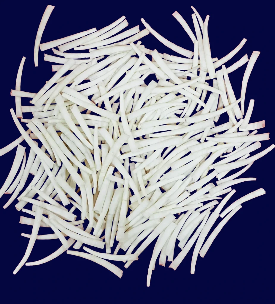 dentalium shell