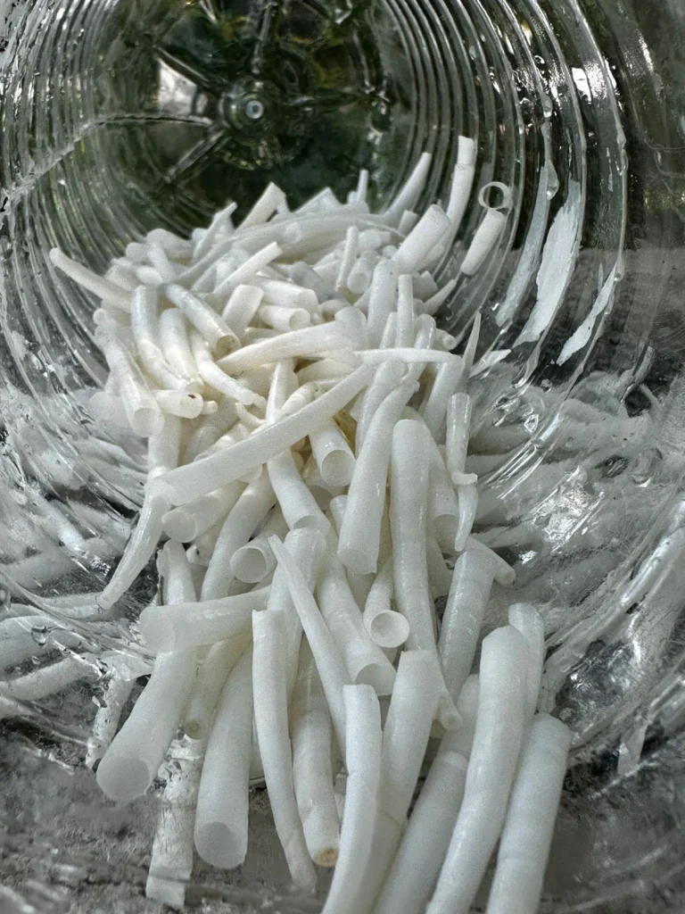 dentaliumshells img-2