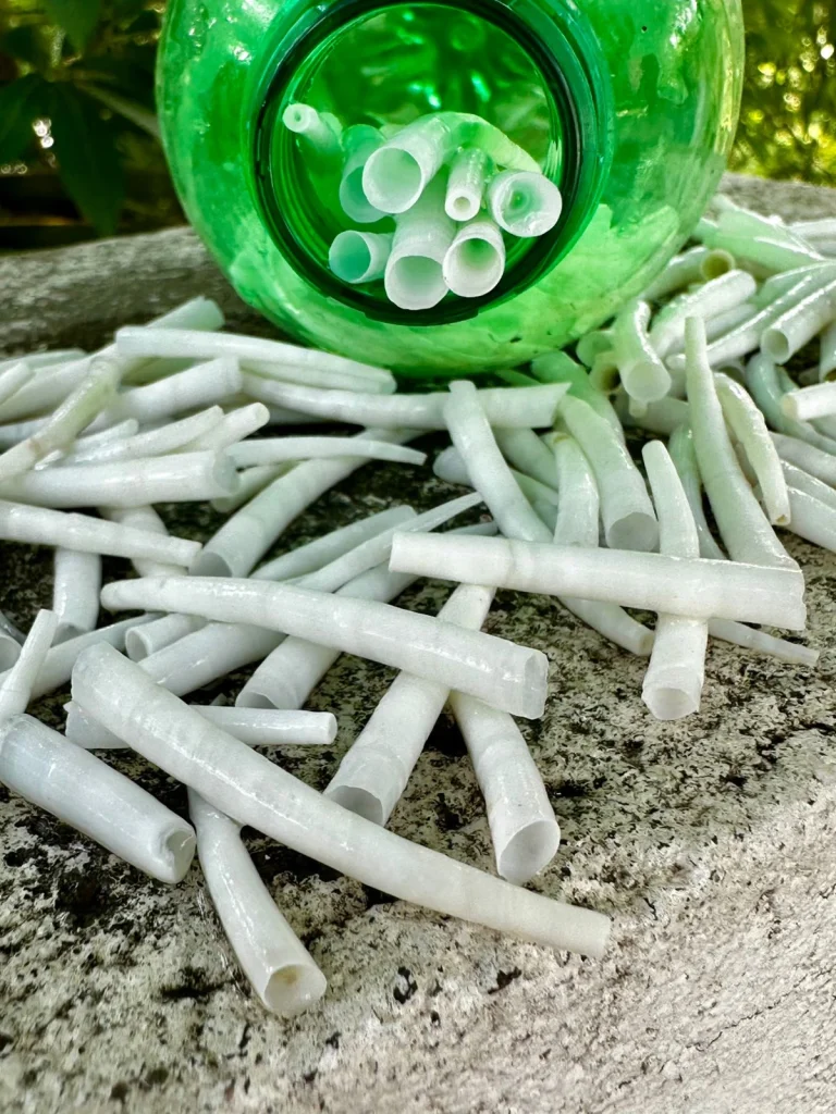 dentaliumshells img-3