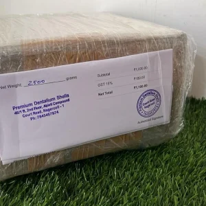 Export packed natural dentalium tusk shells for jewelry making, crafts and wholesale buyers
