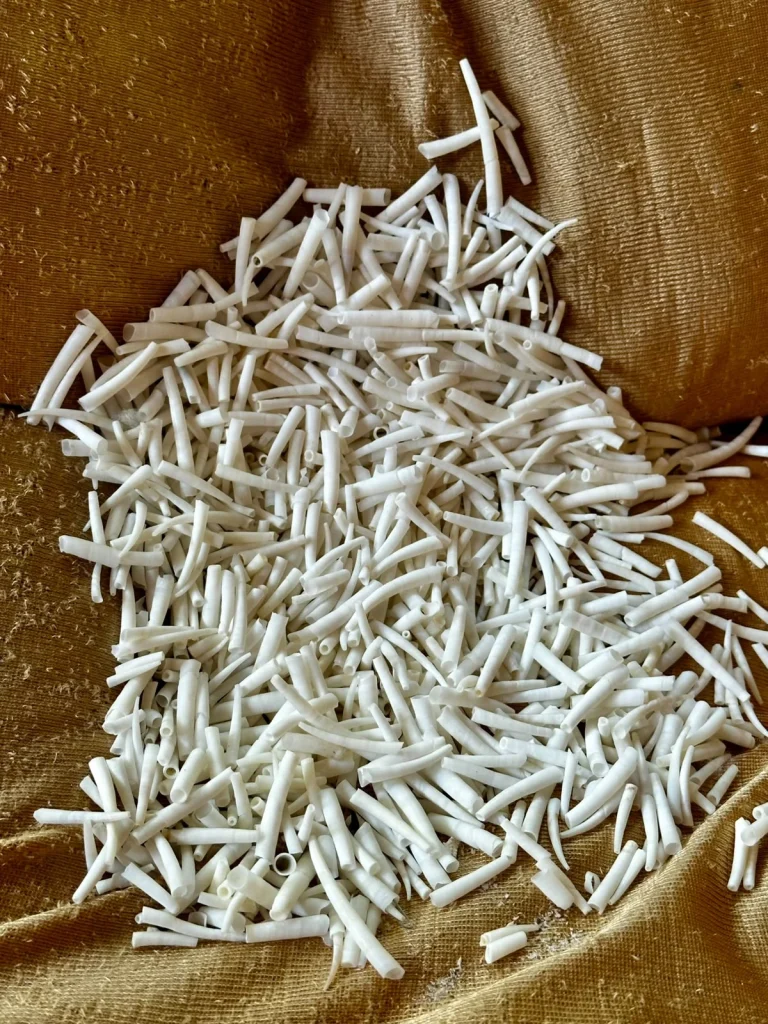 dentaliumshells image-3